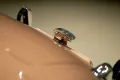 Jaguar XK 1952 120 OTS OTS Bucket seats - Mille Miglia