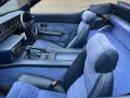 TVR Tasmin SCHNÄPPCHEN