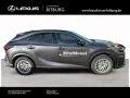 Lexus RX 450 h+ E-Four F Sport Design Pano