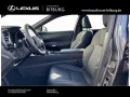 Lexus RX 450 h+ E-Four F Sport Design Pano