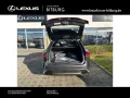 Lexus RX 450 h+ E-Four F Sport Design Pano