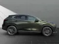 Lexus NX450H+ Executive Panorama Int+Technologie Paket