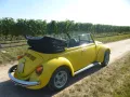 Volkswagen Käfer