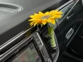 Volkswagen Beetle Cabriolet Sound