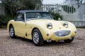 Other Austin Healey Altro Sprite MK1 Frog Eye