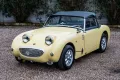 Other Austin Healey Altro Sprite MK1 Frog Eye