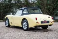 Other Austin Healey Altro Sprite MK1 Frog Eye