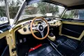 Other Austin Healey Altro Sprite MK1 Frog Eye
