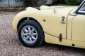 Other Austin Healey Altro Sprite MK1 Frog Eye
