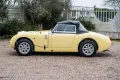 Other Austin Healey Altro Sprite MK1 Frog Eye