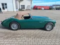 Austin Healey 100 - Mille Miglia fähig!