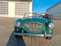 Austin Healey 100 - Mille Miglia fähig!
