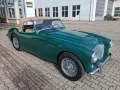 Austin Healey 100 - Mille Miglia fähig!