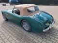 Austin Healey 100 - Mille Miglia fähig!
