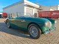 Austin Healey 100 - Mille Miglia fähig!