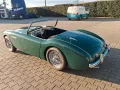 Austin Healey 100 - Mille Miglia fähig!