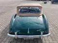 Austin Healey 100 - Mille Miglia fähig!