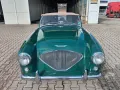 Austin Healey 100 - Mille Miglia fähig!
