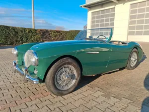 Austin Healey 100 - Mille Miglia fähig!