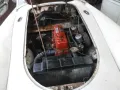 MGA