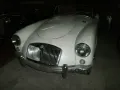 MGA