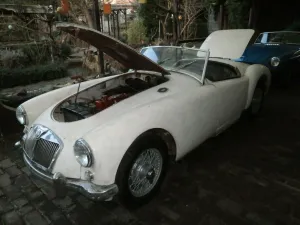 MGA