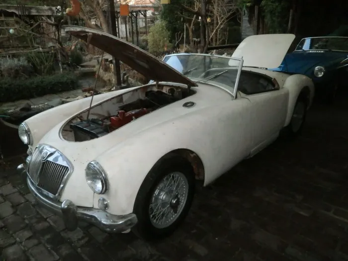 MGA