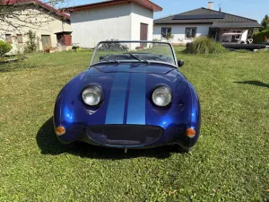 Austin Healey Other
