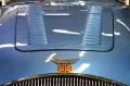 Austin Healey Haldane HD-100