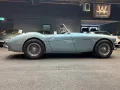 Austin Healey 3000 MKII/TECHN u. OPT GUT/ZUVERLÄSSIG/28J LETZT