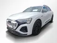 Audi Q8 e-tron 55 S Line Pano,HUD,Matrix,Kameras