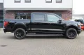 Ford F-150 V8 5.0 Lariat Black, 360°, ACC, HUD
