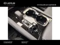 Lexus RX 350 h E-Four F Sport Design,Panorama