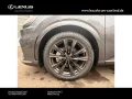 Lexus RX 350 h E-Four F Sport Design,Panorama
