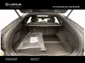 Lexus RX 350 h E-Four F Sport Design,Panorama