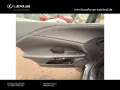 Lexus RX 350 h E-Four F Sport Design,Panorama