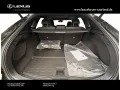 Lexus RX 350 h E-Four F Sport Design,Panorama
