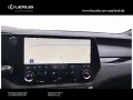 Lexus RX 350 h E-Four F Sport Design,Panorama