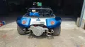 Volkswagen Buggy Gatto dpyder spiaggia