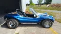 Volkswagen Buggy Gatto dpyder spiaggia