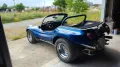 Volkswagen Buggy Gatto dpyder spiaggia