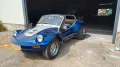 Volkswagen Buggy Gatto dpyder spiaggia
