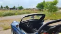 Volkswagen Buggy Gatto dpyder spiaggia