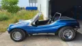 Volkswagen Buggy Gatto dpyder spiaggia