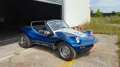 Volkswagen Buggy Gatto dpyder spiaggia