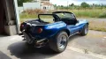 Volkswagen Buggy Gatto dpyder spiaggia