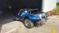 Volkswagen Buggy Gatto dpyder spiaggia
