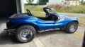 Volkswagen Buggy Gatto dpyder spiaggia