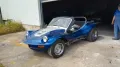 Volkswagen Buggy Gatto dpyder spiaggia