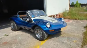 Volkswagen Buggy Gatto dpyder spiaggia